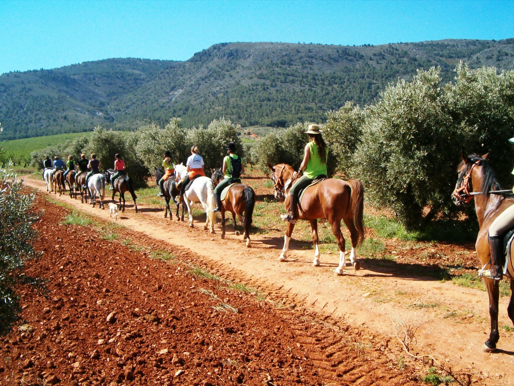 Instalaciones Recreativas Zerbinetta