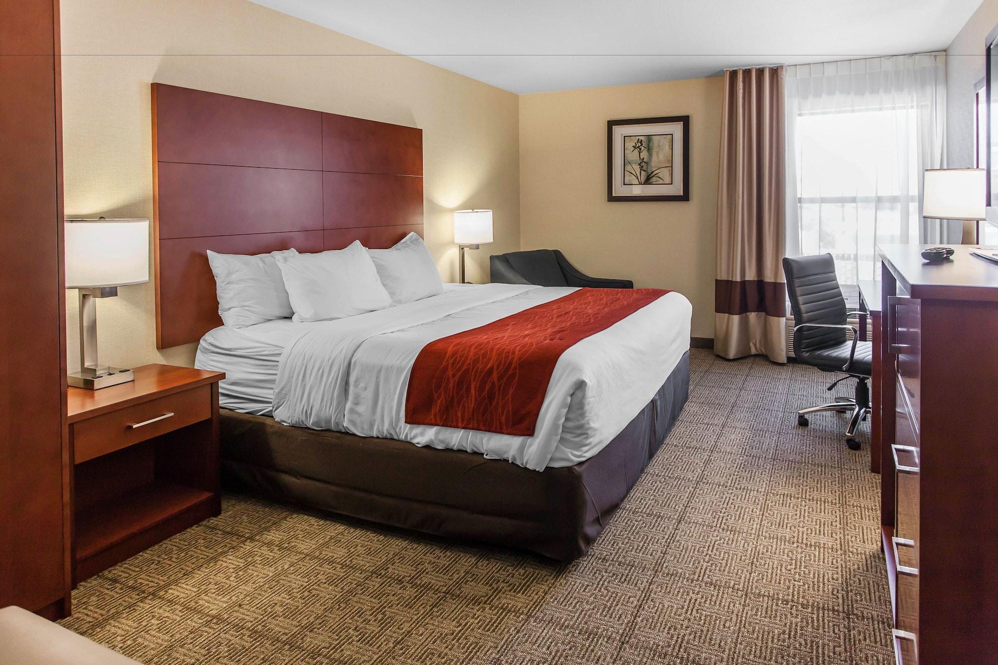 Habitación Comfort Inn & Suites Near Fallon Naval Air Station