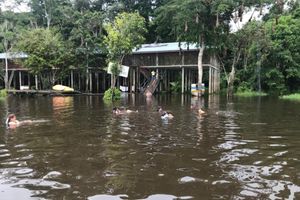 Alojamiento - Reserva Natural Yavary Tucano
