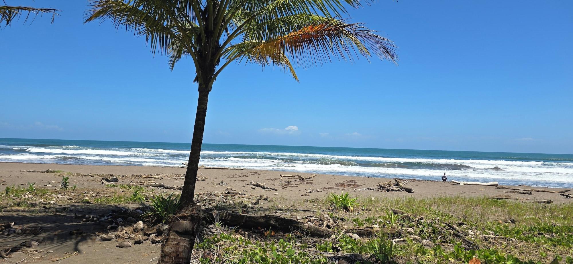 Playa Hotel Tortuguero Beachfront