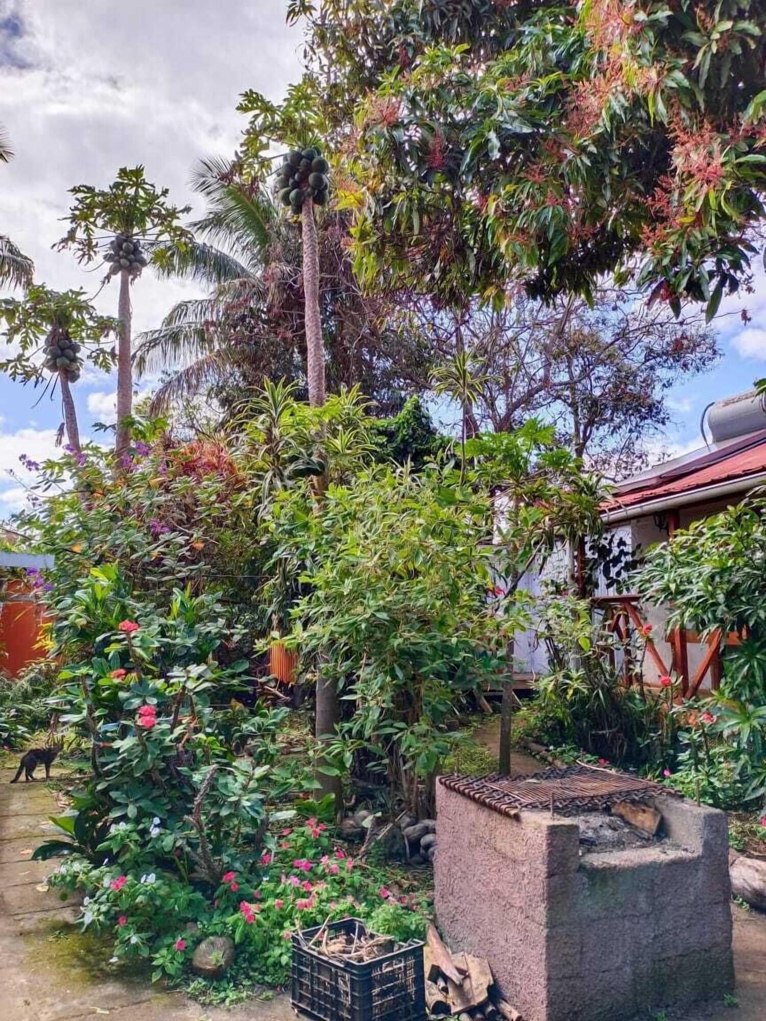 Vista Exterior Hare Vaikapua