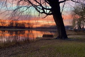 Alquiler Vacacional - Quaint seclusion, steps from the backwaters of the Mississippi.