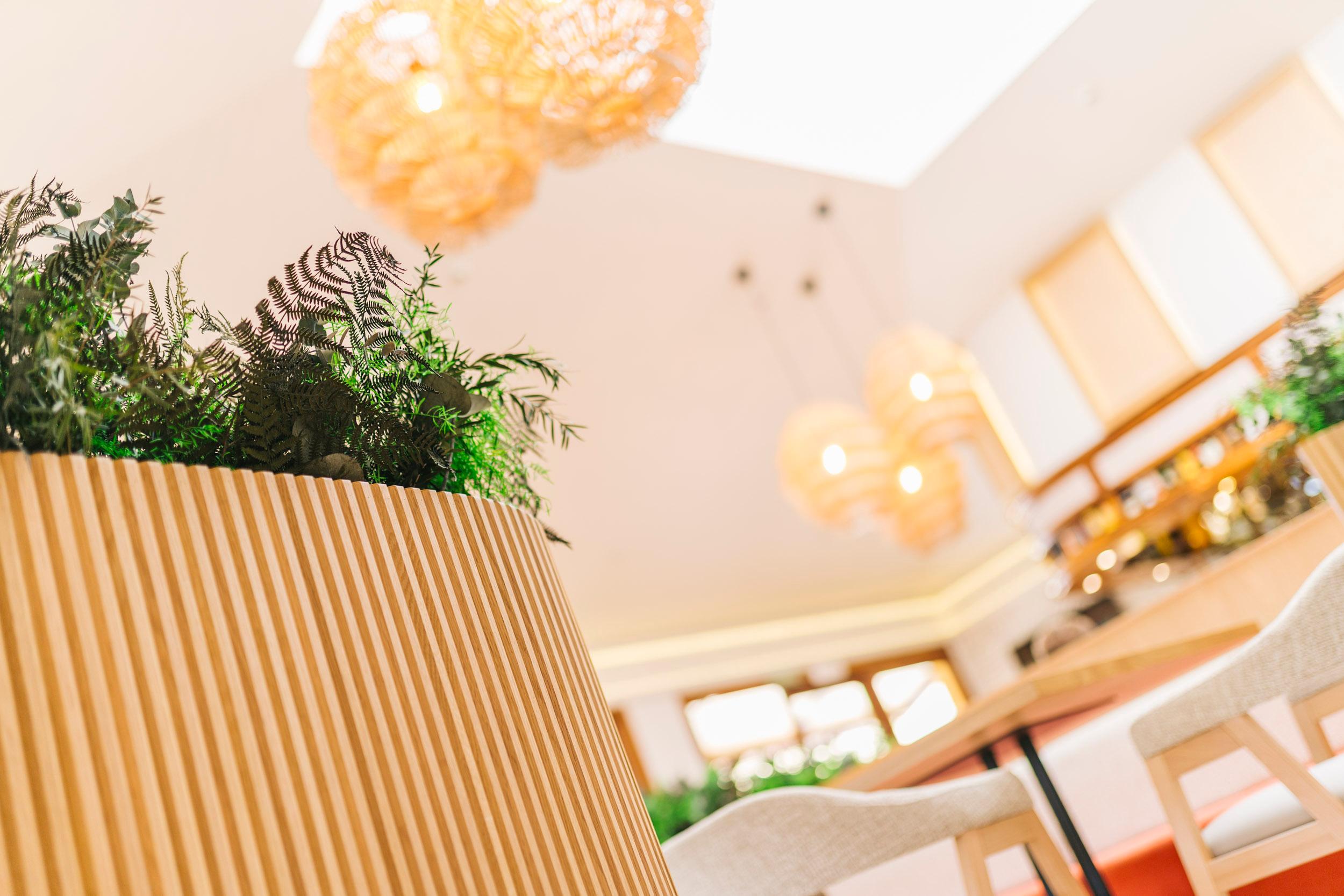 Bar/Salón Apartamentos Albatros