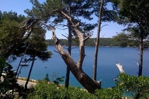 Alquiler Vacacional - Studio Tina