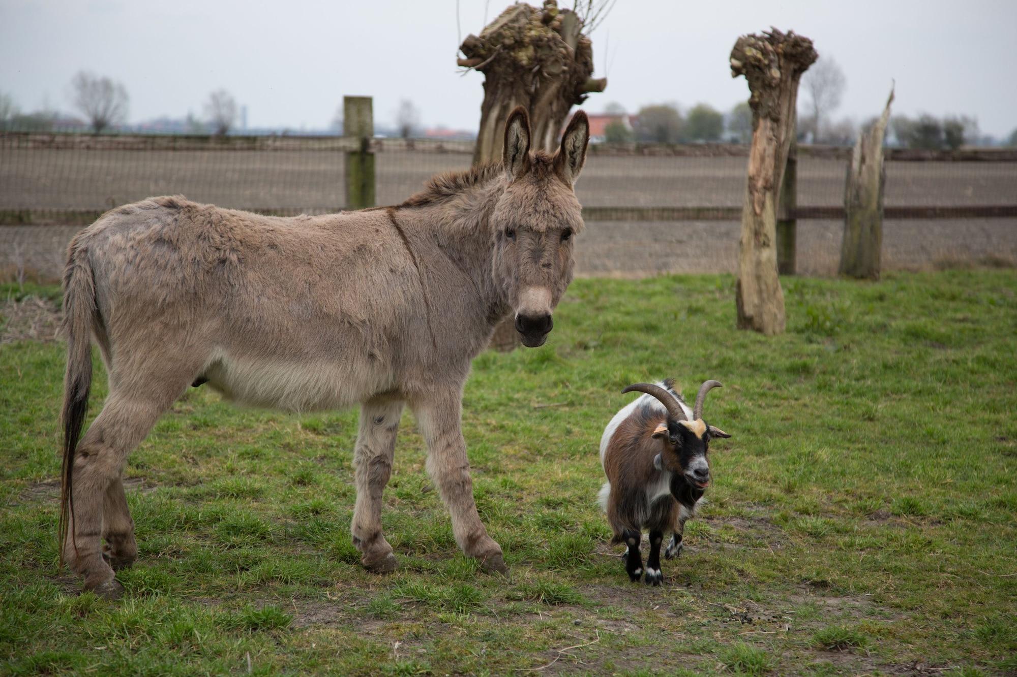 Vista Exterior B&B Het Schaliënhof