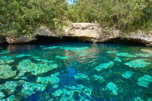 Actividad - Cenotes Casa Tortugas, Entrada Basica