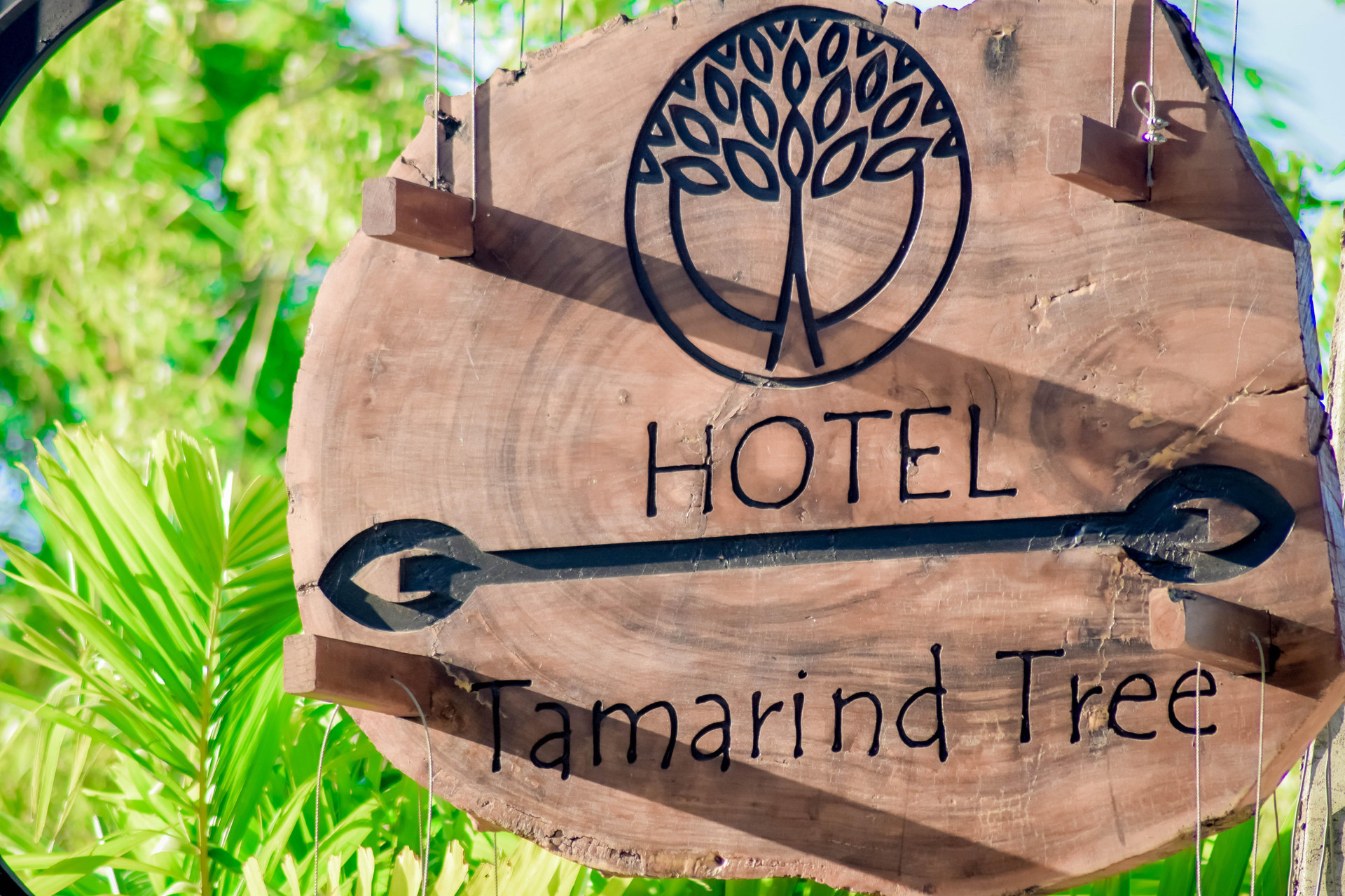 Vista Exterior Tamarind Tree, Thissamaharama
