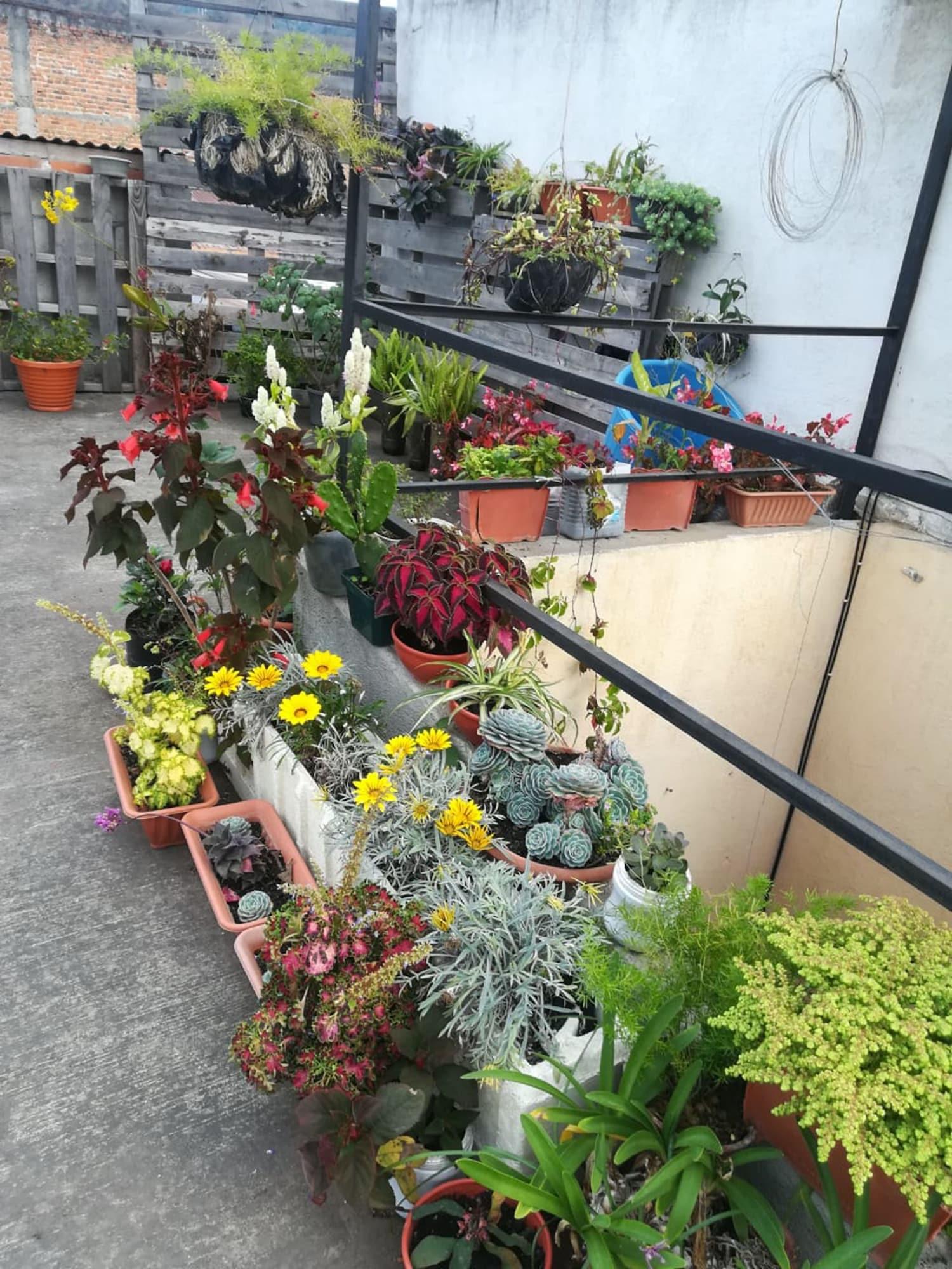 Comodidades del Alojamiento Casa de Leon