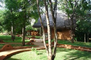 Alojamiento - Kuwera Eco Lodge