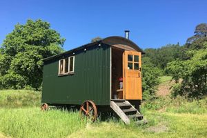 Alquiler Vacacional - Cosy Woodland off Grid Shepherds Hut - Rowan