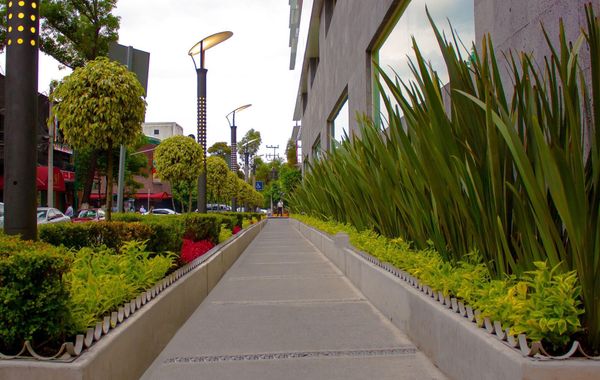 Hotel Novit - Hoteles cerca de Autódromo en Ciudad de México