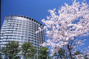 Alojamiento - Hotel Grand Arc Hanzomon