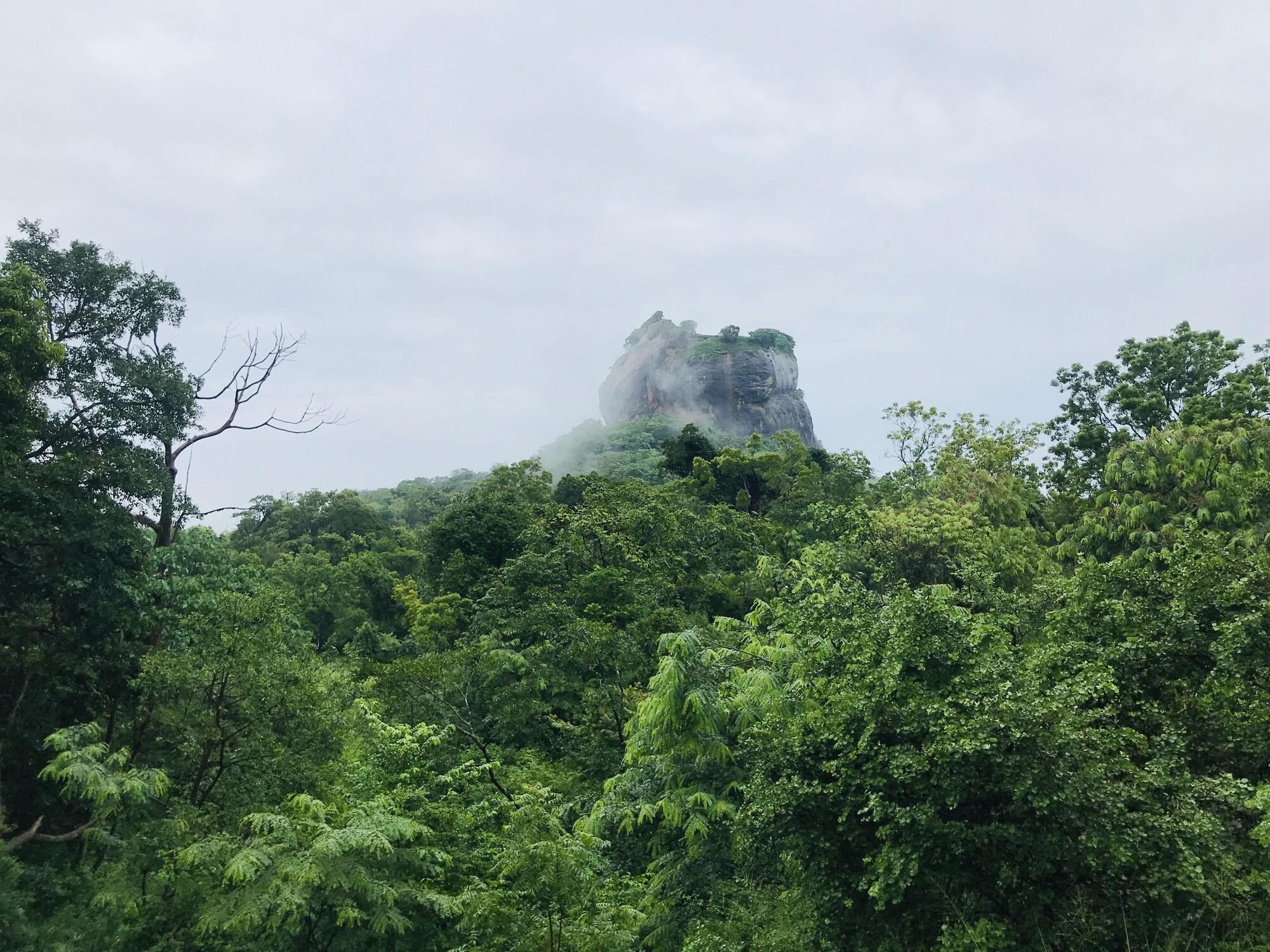 Vista Exterior Hungry Lion Sigiriya