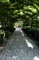 Alojamiento - Hof te Spieringen