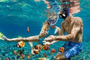Actividad - Tour a Isla Saona VIP desde Bayahibe