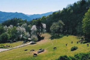 Alojamiento - Azienda Agrituristica Lavagè