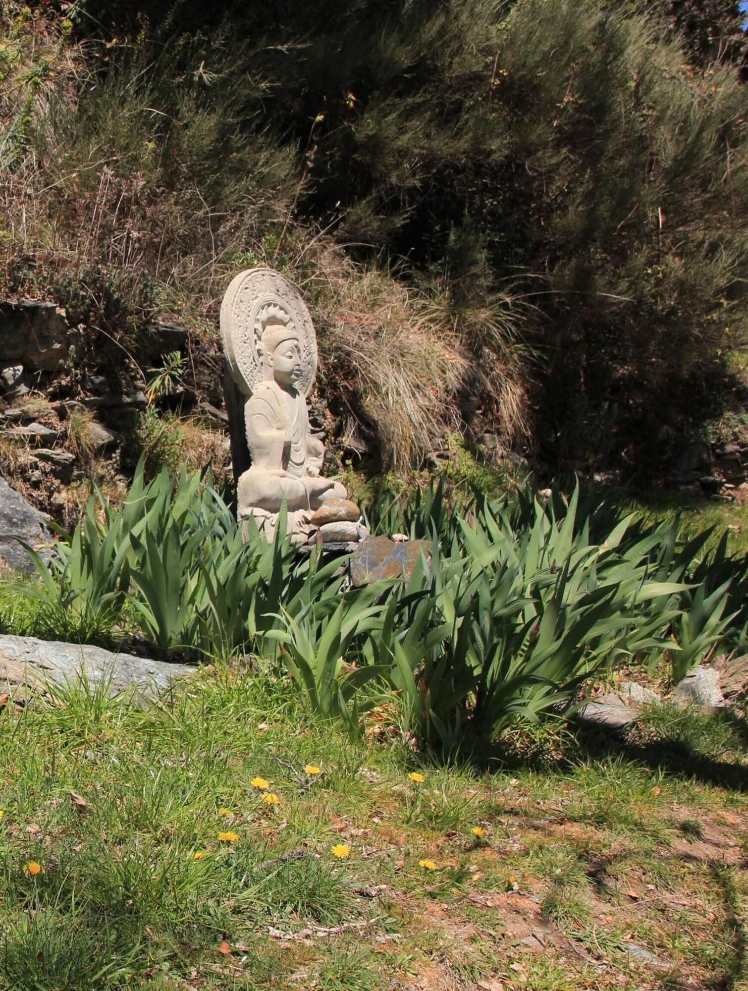 Comodidades del Alojamiento Hostal Las Terrazas de la Alpujarra