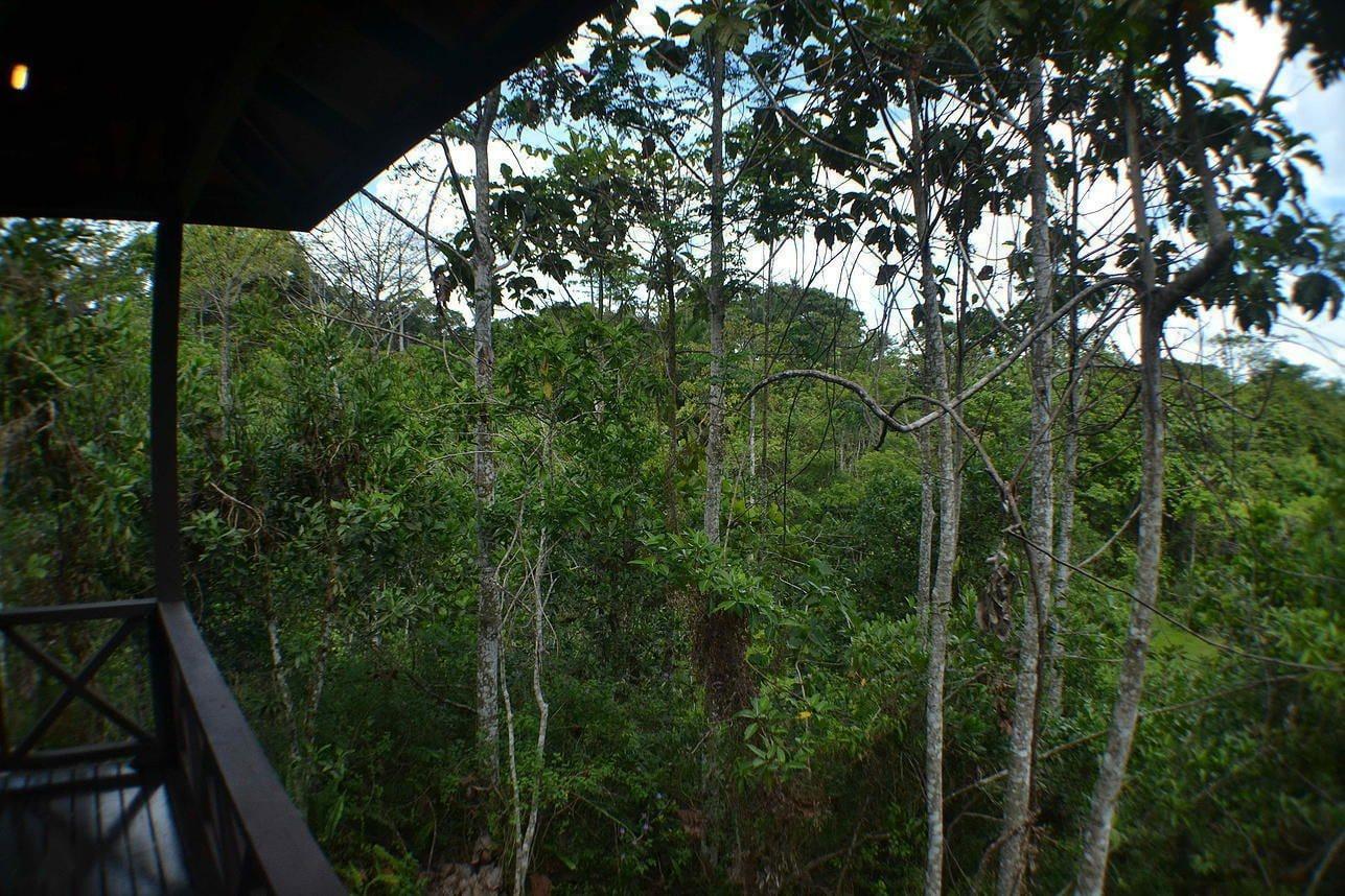 Equipamiento de Habitación Sepilok Forest Edge Resort