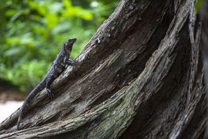 Alojamiento - Hotel Nantipa - A Tico Beach Experience