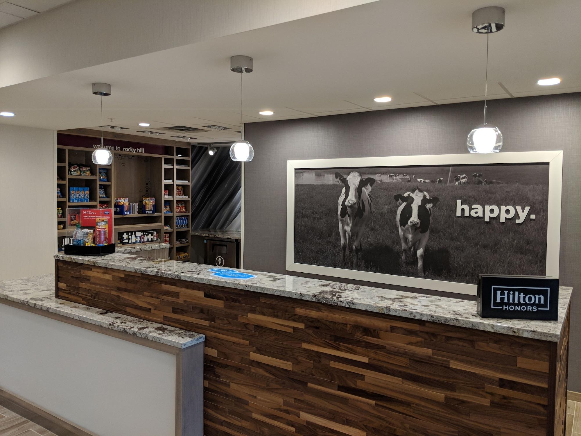 Vista Lobby Hampton Inn & Suites Rocky Hill - Hartford South