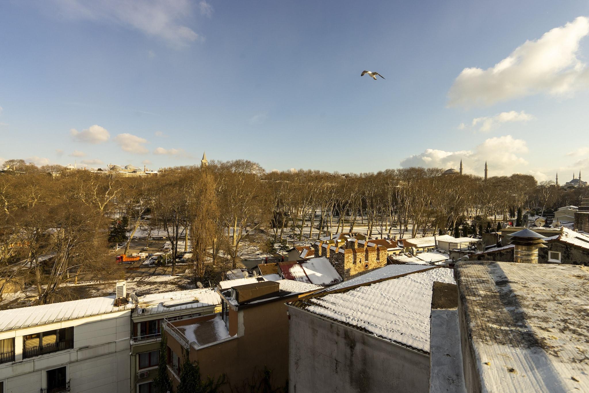 Varios Sayeban Gold Hotel