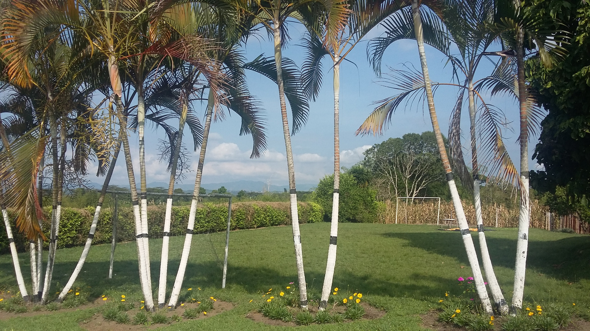 Instalaciones Recreativas La Finca De Mi Abuelo