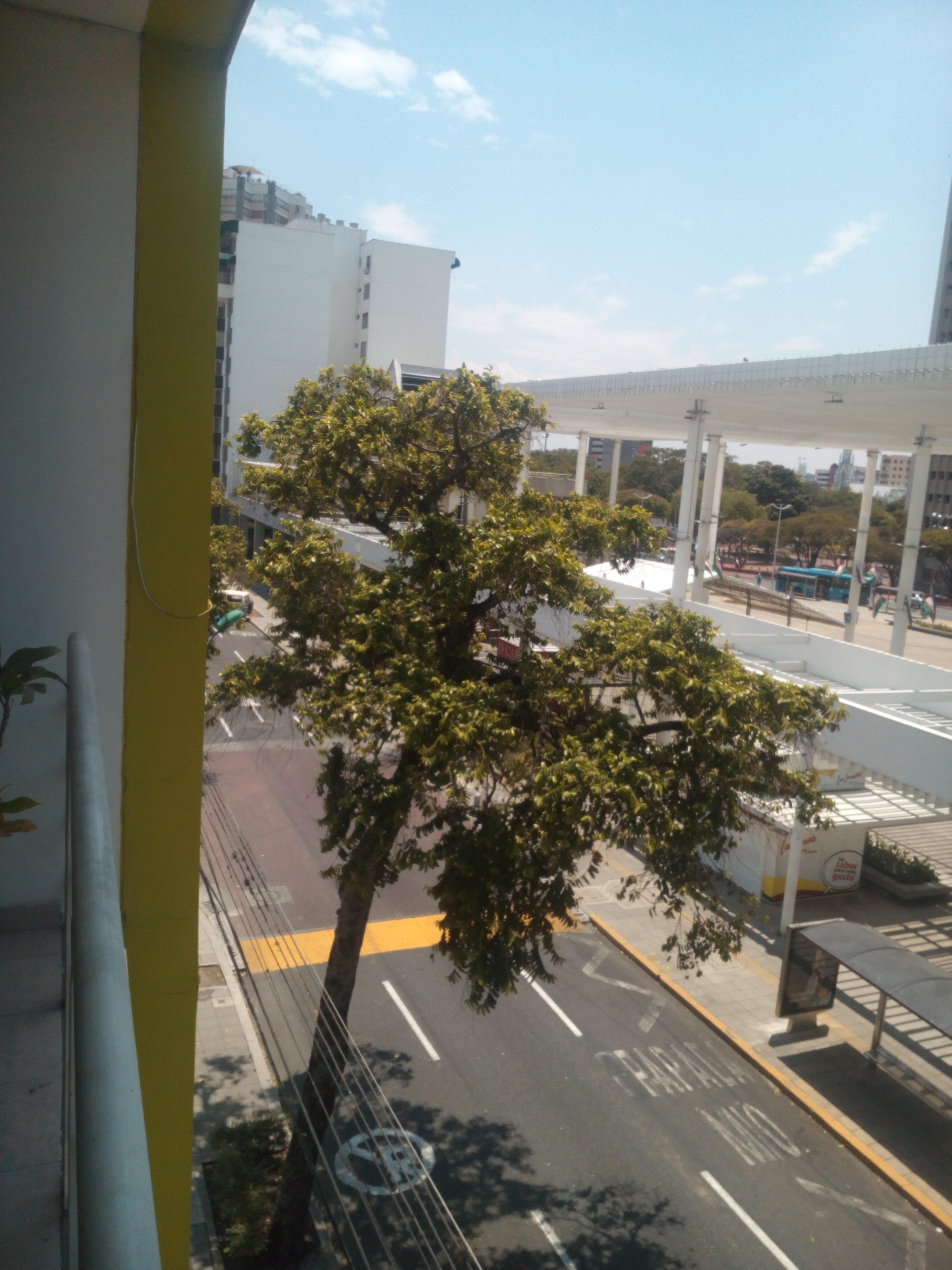 Varios Hotel Cuarta Avenida