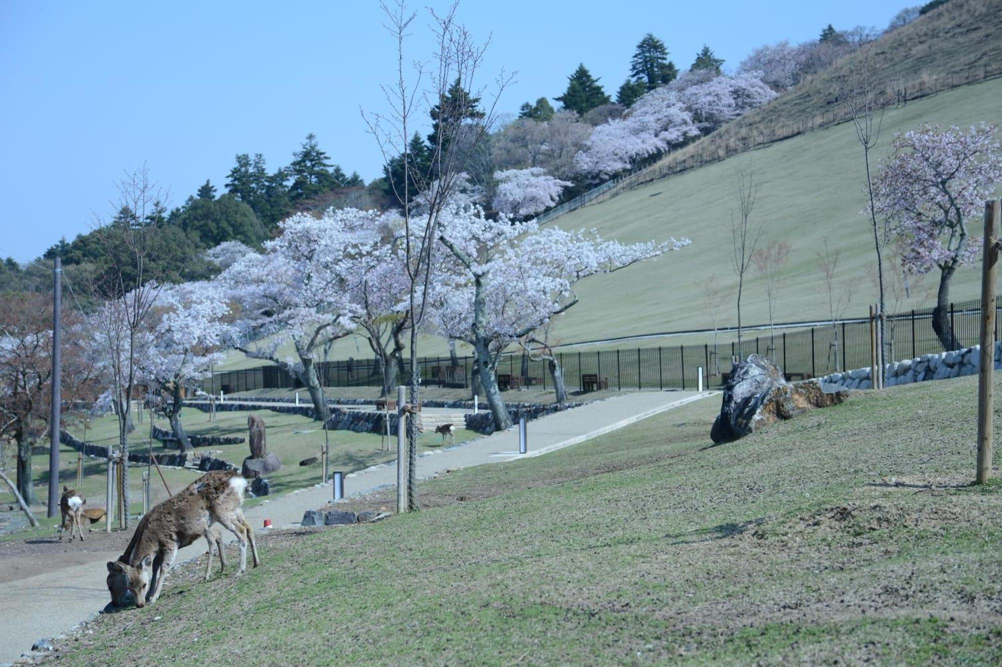 Comodidades del Alojamiento Mountain Home Lodge in Deer Park