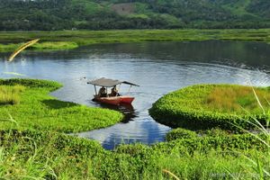 Actividad - PIK - Full Day Villa Rica