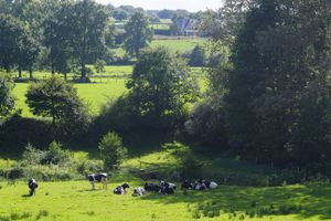 Alojamiento - Chambres d'Hôtes La Gautraie