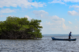 Actividad - Descubre Mandinga, la Isla de las Conchitas y la Riviera de Mandinga – Tour de medio día