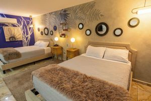 Alojamiento - Basha Hotel & Restaurant