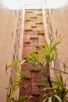 Alojamiento - Forte Express