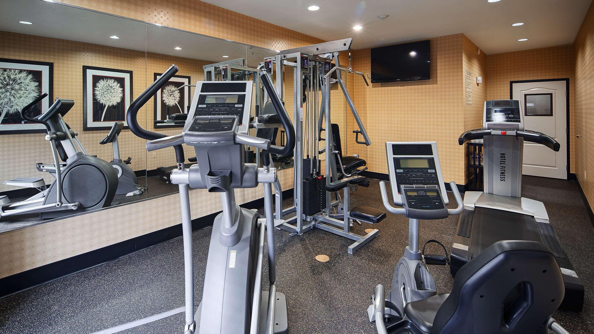 Instalaciones Recreativas Best Western Plus DFW Airport West Euless