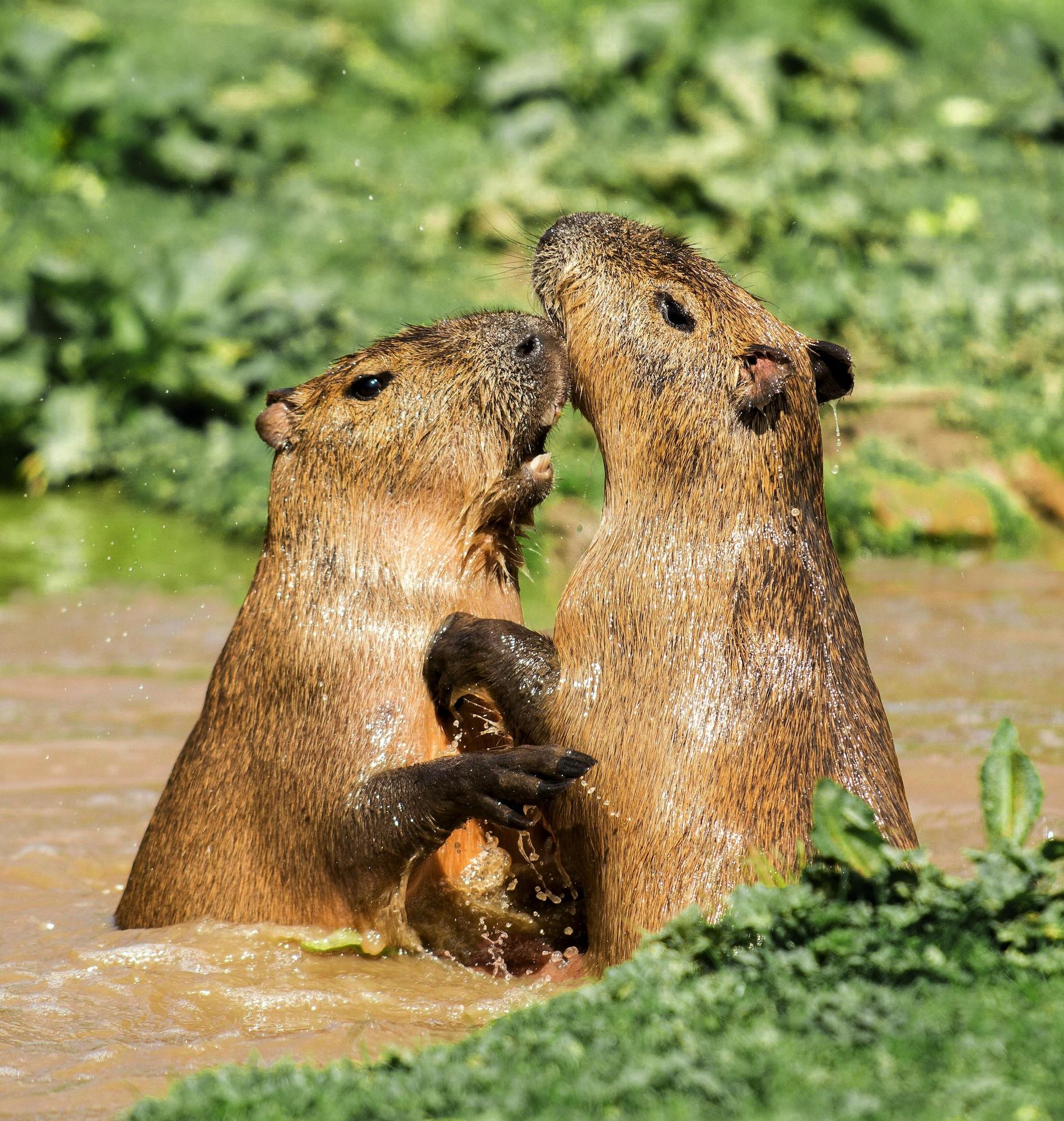 Vista Exterior Andean Wings Sotupa Eco Lodge