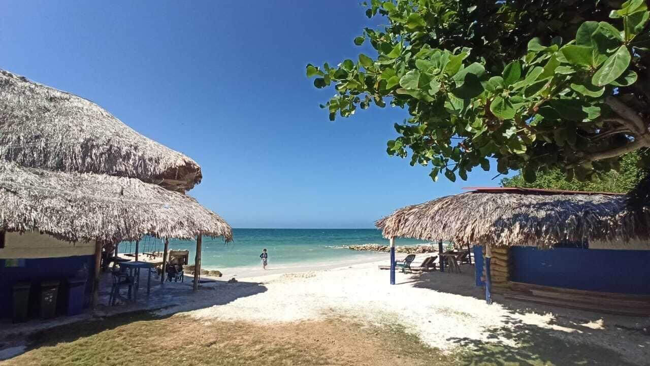 Bar/Salón Dahlandia