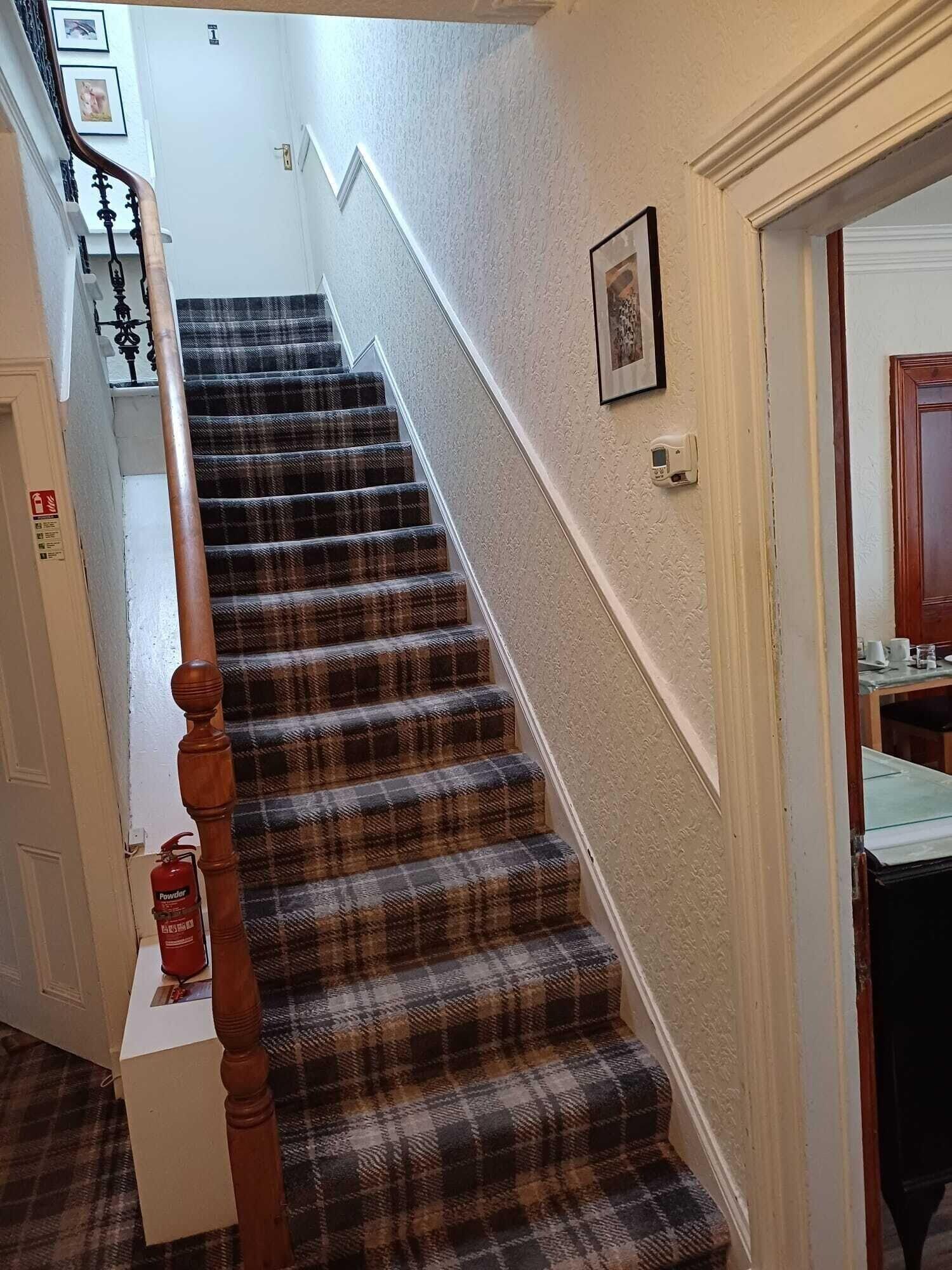 Vista Lobby Jacobite Rose