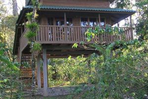 Alojamiento - Hotel Bio Parque Paradise