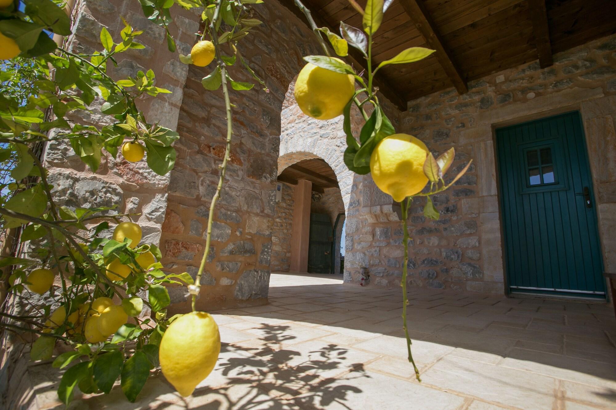Habitación Ktima Karageorgoy