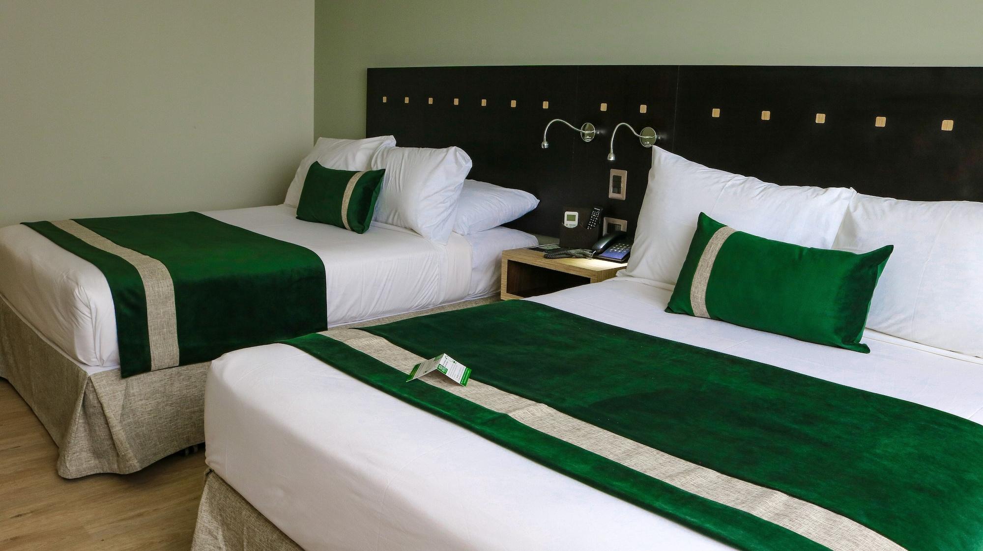 Habitación EcoHotel