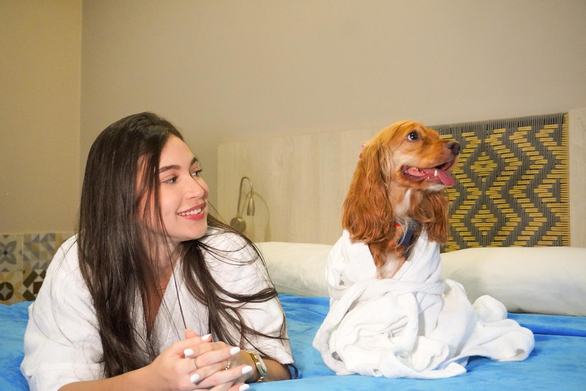 Pet friendly Casa Avelina Boutique Hostel