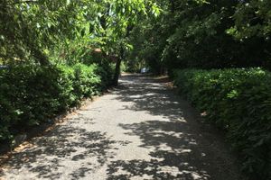 Alojamiento - B&B Domus Verdiana