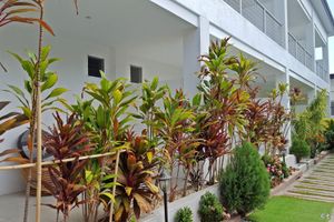 Alojamiento - Paboreal Boutique Hotel