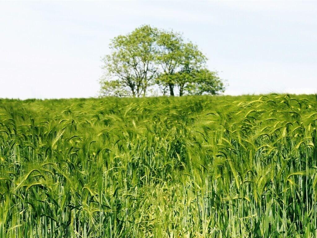Comodidades del Alojamiento Langdale House