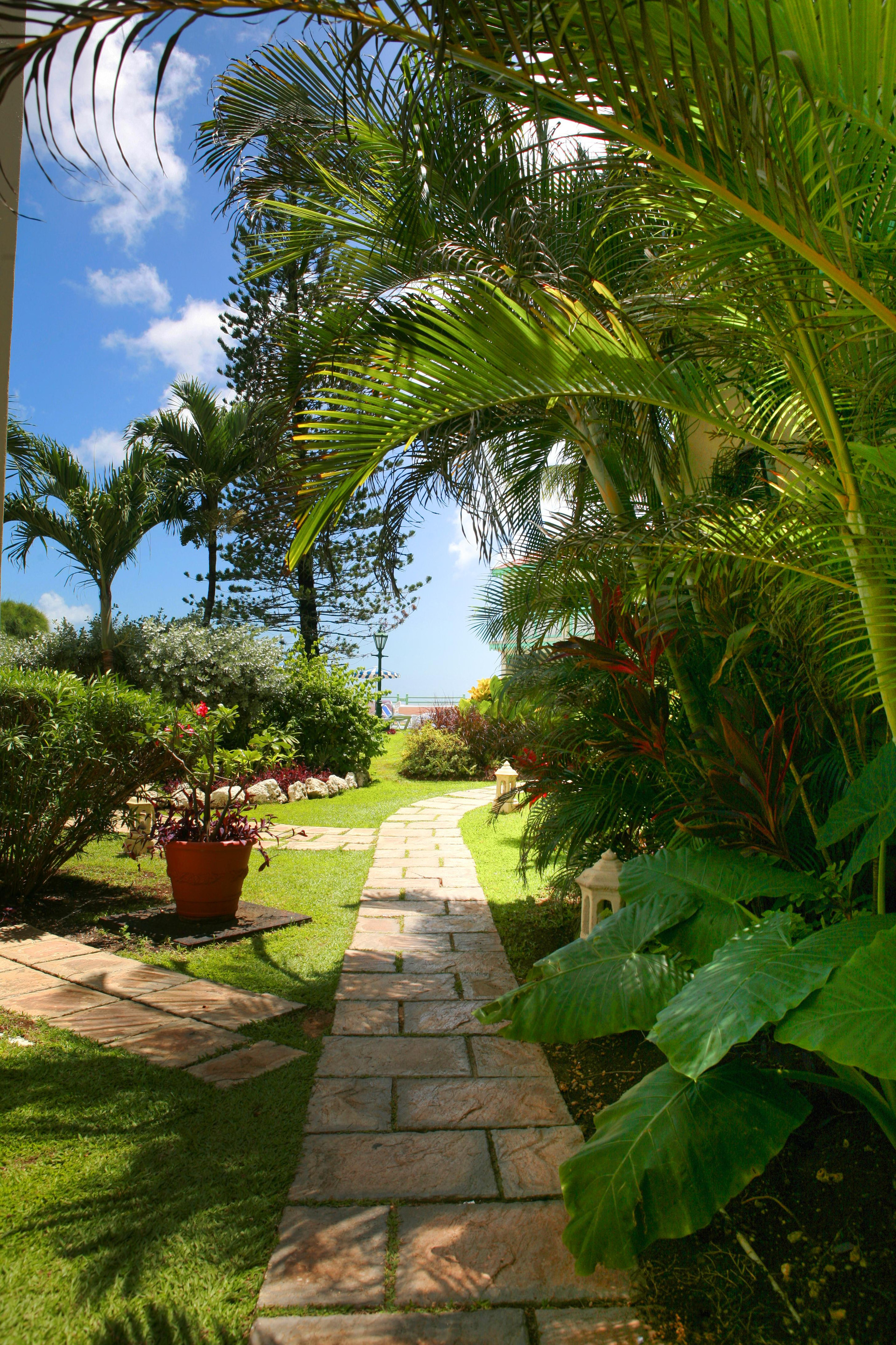 Vista Exterior Blue Orchids Beach Hotel