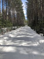 Alquiler Vacacional - Northwoods Best @  Amazing Grace Retreat Convenient access to Snowmobile trails!