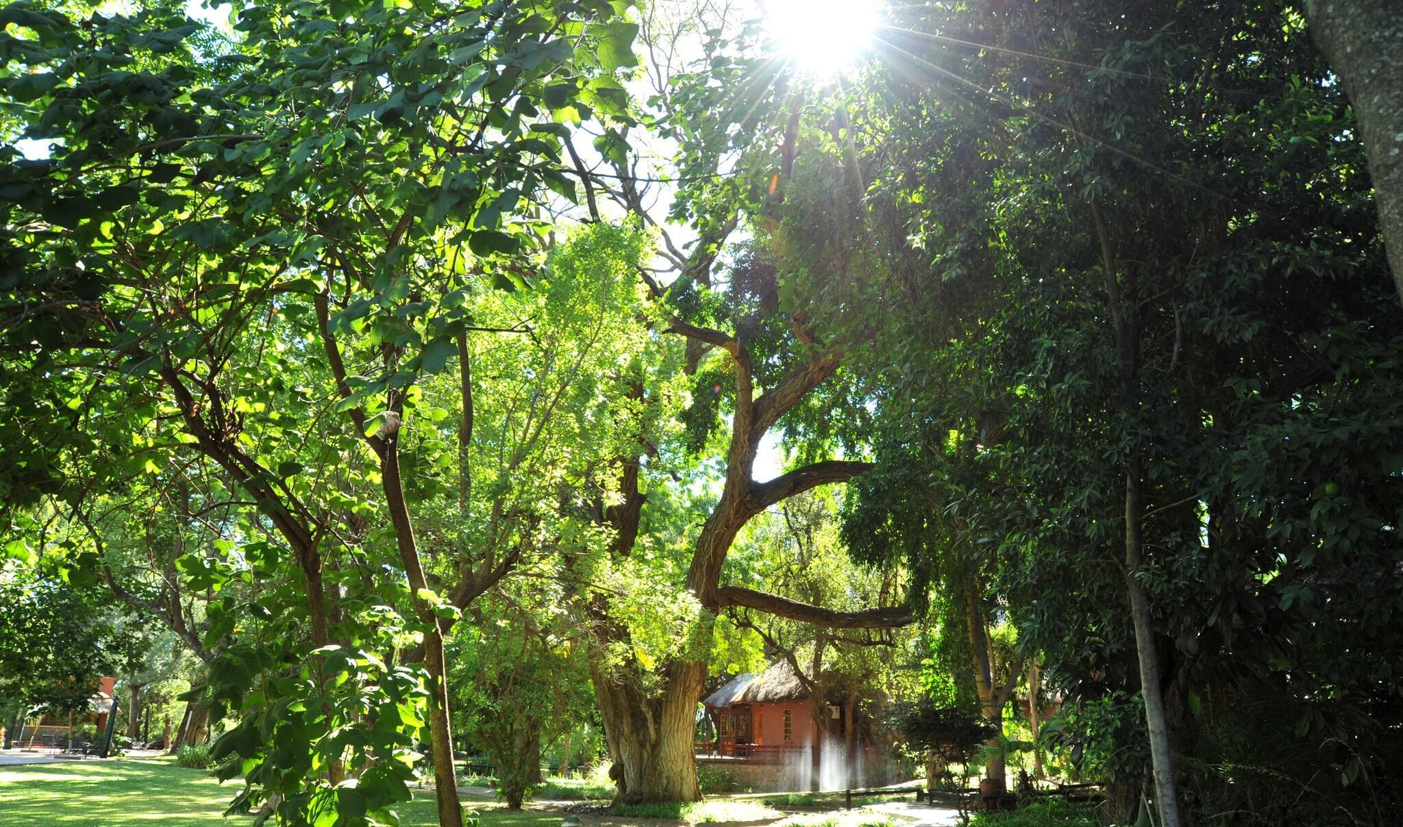 Vista Lobby Cresta Marang Gardens