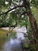 Alojamiento - Makeliya Jungle & Waterfall Tour