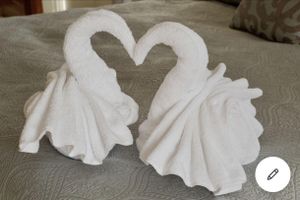 Alquiler Vacacional - Sunny Retreat 4 BR Ranch w Spacious Backyard