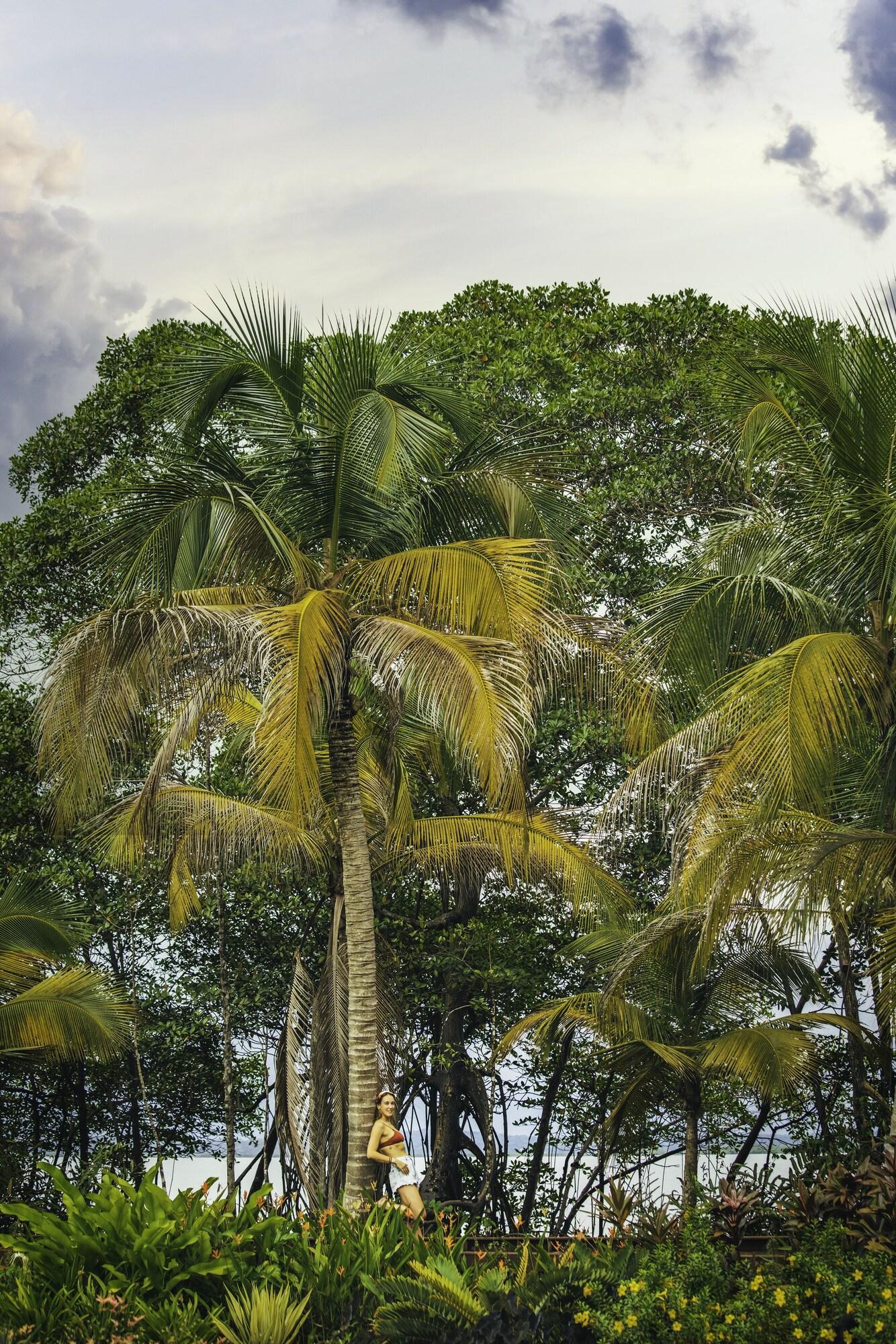 Vista Exterior NAYARA Bocas del Toro